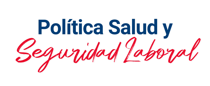 P Salud Seguridad Laboral